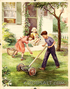 Boy Mowing Lawn