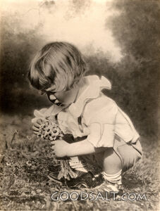 Boy Picking Daisies