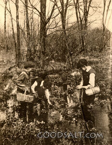 Boys Picking Cowslips