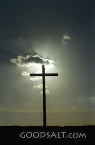 Calvary's Cross
