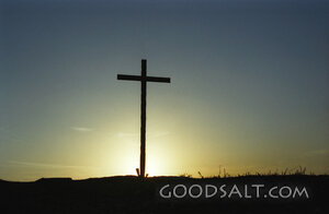 Calvary's Cross 