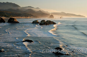 Cannon Beach From Ecola State Park Viewpoint