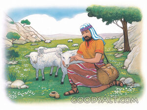 Caring for the Sheep