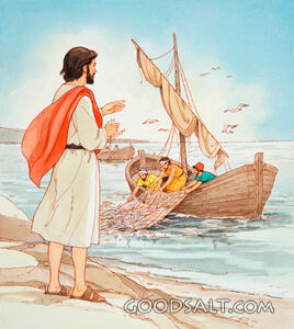 Cast Your Net on the Other Side