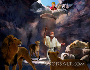 Lion's Den