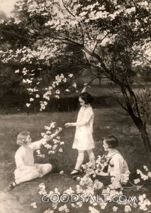 Children Picking Blossoms