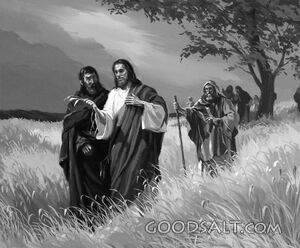 Christ and Disciples in Wheat Field