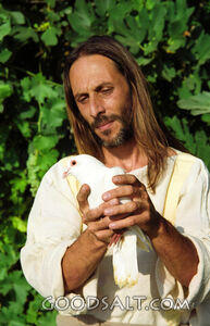 Christ Holding a White Dove Bird