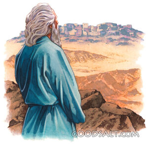 A biblical character overlooking a city.