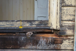 close-up of decayed window on old shed