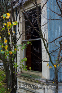 close-up of decayed window on old shed