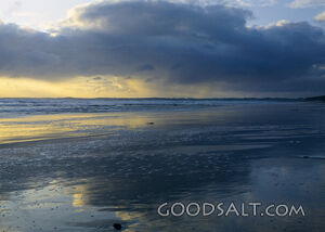 cloudy day at the beach