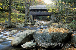 Covered Bridge over Stream