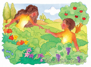 Creation - Adam and Eve