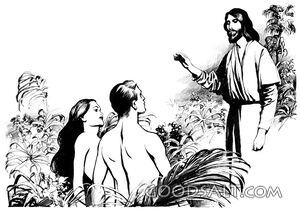 Creation of Adam and Eve