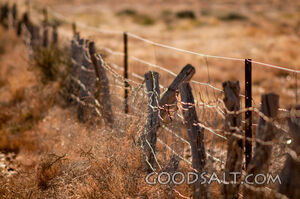 Crooked and shabby fence built in outback in 1888.