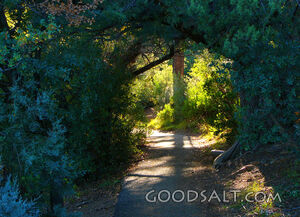 Cross Walk, Trail With Cross Shadow