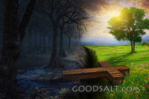 Crossing the Gap