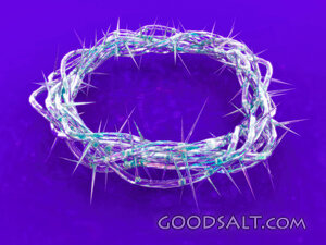 Crown of Thorns - Crystal