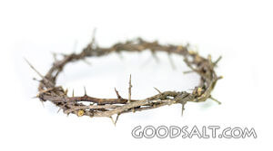 Crown of Thorns on White