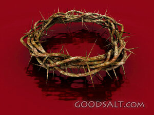 Crown of Thorns - Red