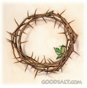 Crown of Thorns With Green Leaf