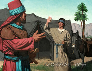 David, a Kind Brother