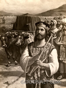 David Caring for the Ark