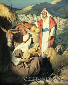 David Goes to His Brothers