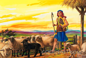 David the Shepherd