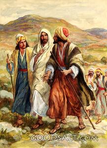 Desire of James and John