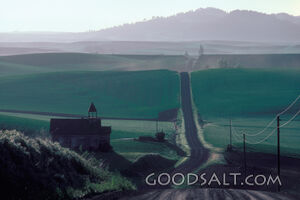 Distant Hills