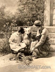 Dog and Broken Flower Pot