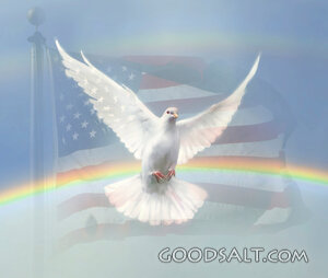 Dove Against US Flag Backdrop