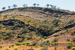 Dramatic outback lighting and scenery.