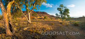 dry outback yellow scenery