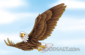 Eagle