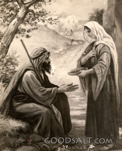Elijah and the Widow