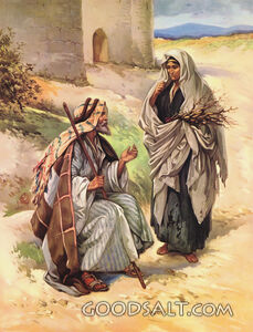 Elijah and the Widow