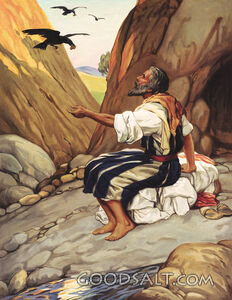 Elijah Fed by Ravens