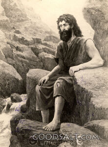 Elijah Fed By the Ravens