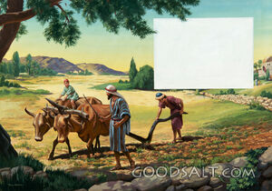 Elijah Finds Elisha Plowing the Field