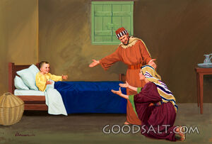 Elijah - Here Is Your Son