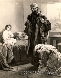 Elisha and the Shunammite