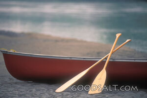 A canoe on a beach with two paddles on the side of the canoe.