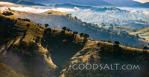 Endless ridge tops and scattered trees.