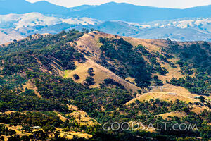 Endless ridge tops and scattered trees.