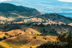 Endless ridge tops and scattered trees.