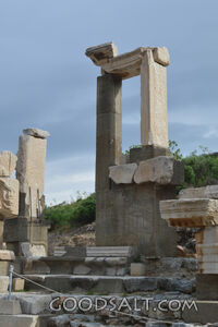 Ephesus Ruins - Fruit Relief