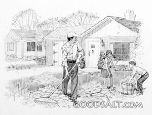 Fall Cleanup